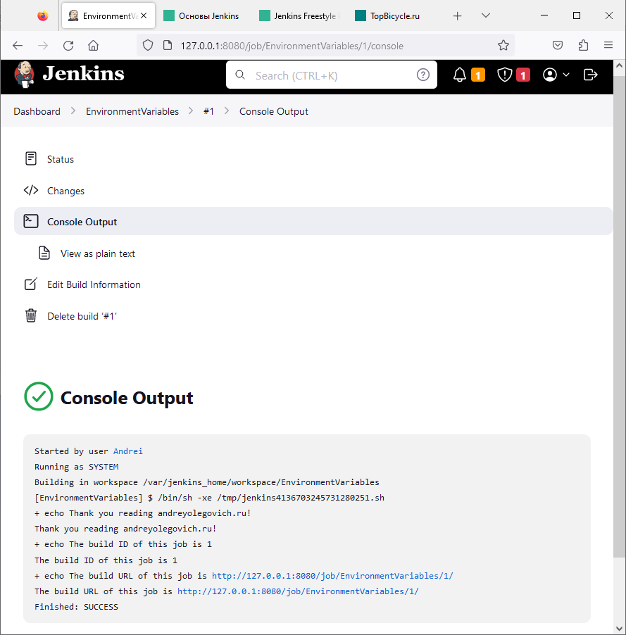 Просмотр переменных окружения BUILD_ID и BUIL_URL Jenkins изображение с сайта www.eth1.ru